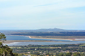 View from Patio